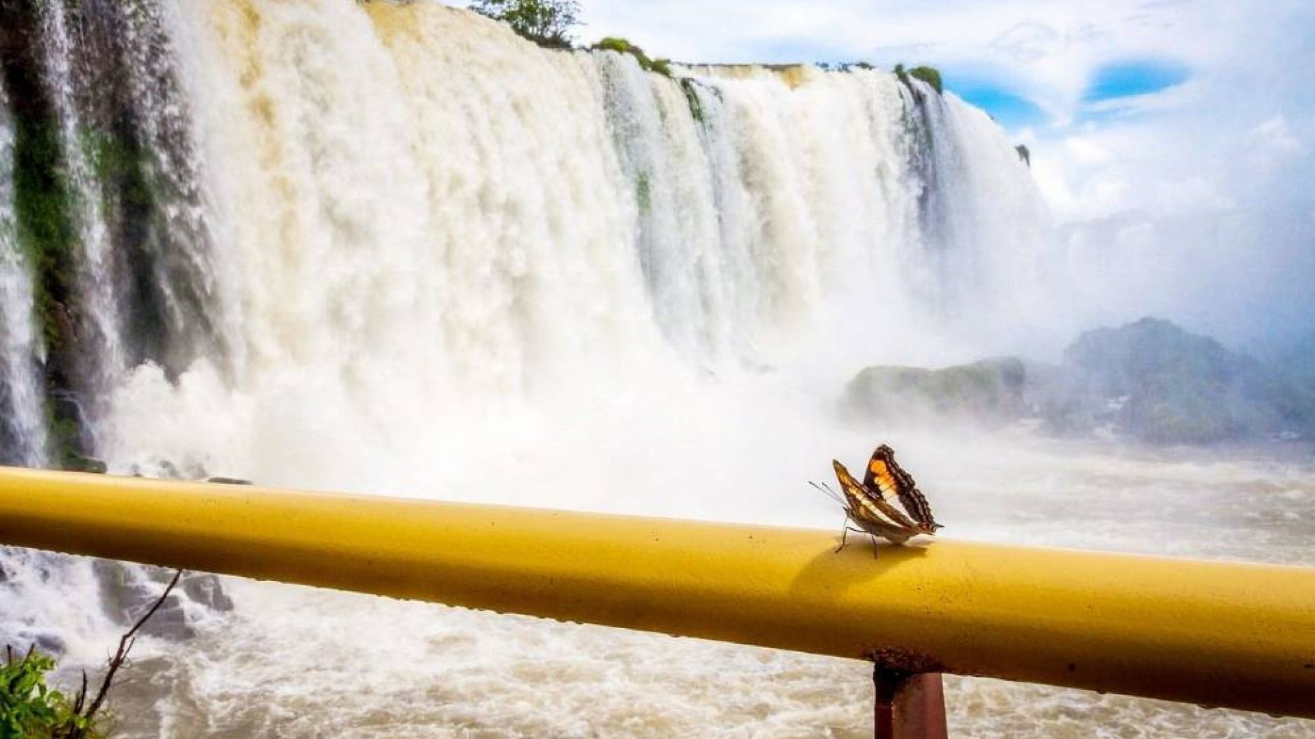 Brazilija – Eldorado paieškos Amazonės džiunglėse