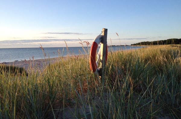 Atrask Elandą - saulės ir vėjų salą 4d.